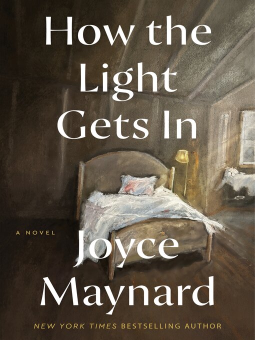 Cover image for How the Light Gets In